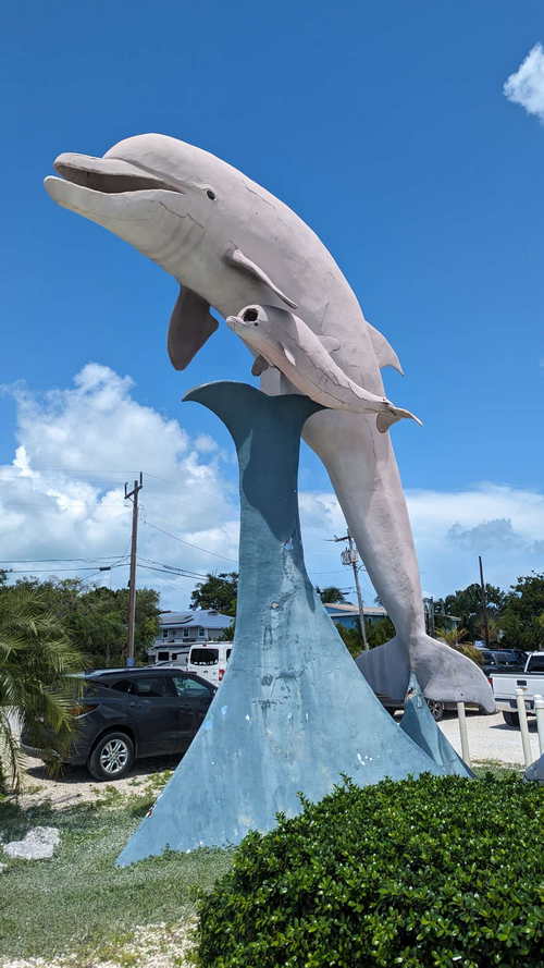 MIA_2023-08-11 11-53-41_PXL_20230811_155341349